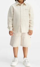Denim Casualwear Shorts