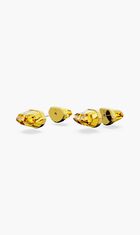 Lucent Stud Earrings