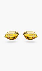 Lucent Stud Earrings