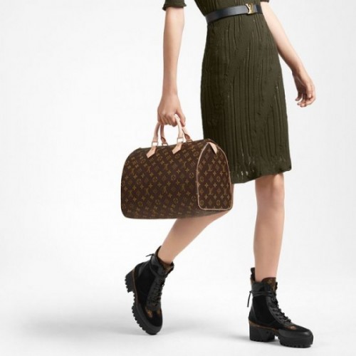 Louis Vuitton Speedy 35 M41107 Louis Vuitton Speedy 35 M41107