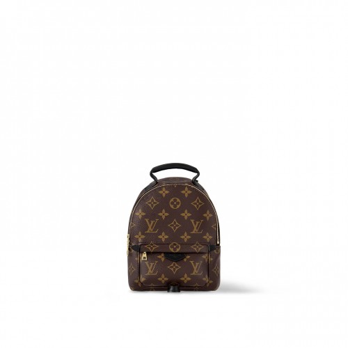Louis Vuitton Monogram M44873 Palm Springs Mini