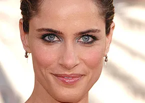 1250016536amanda_peet_290x206