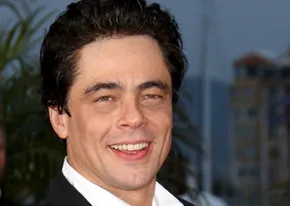 1250530151benicio_del_toro_290x206