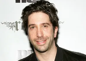 1251225920david_schwimmer_290x206
