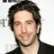 1251225920david_schwimmer_290x206