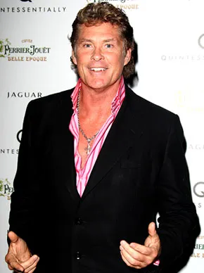 1262871506_david hasselhoff 290