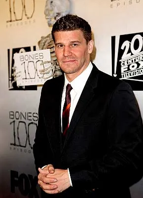 1271086022_david boreanazl