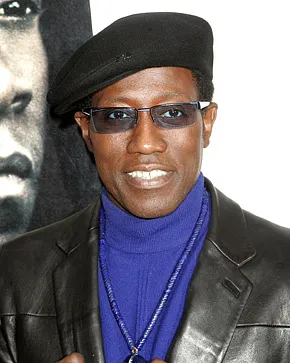 1290200366_wesley snipes 290