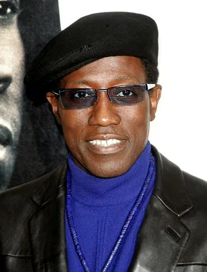 1292628394_wesley snipes 290