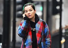 1295540850_fapl bjork 206