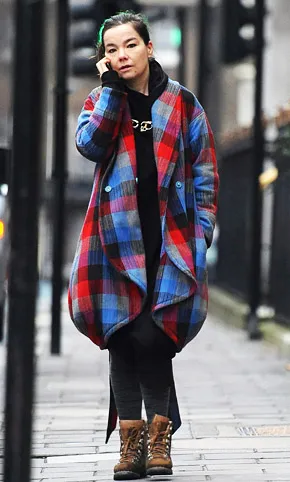 1295540850_fapl bjork 290