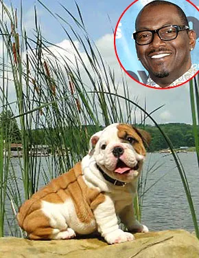 1308947175_randy jackson 290