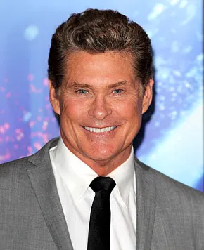 1309959928_david hasselhoff 290