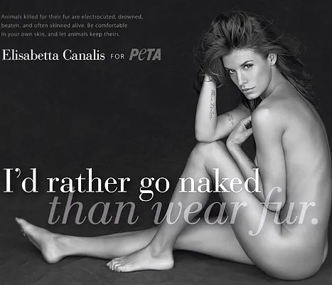 1315596504_elisabetta canalis peta article