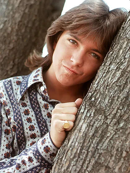 1316627329_teen idols david cassidy lg