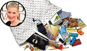 1317830744_piper perabo bag 178