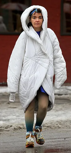 1327524384_bjork 240