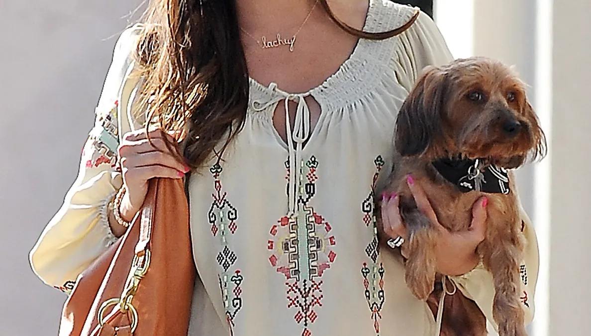 1331579989_vanessa lachey hr