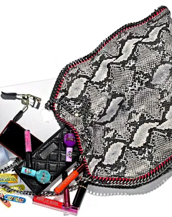 1336057482_brooke burke charvet bag 441