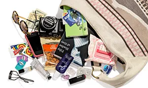 1339621373_shaymitchell bag 300