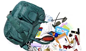 1342107559_rachael leigh cook bag 178