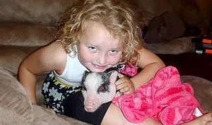 1345730633_honey boo boo pig 300