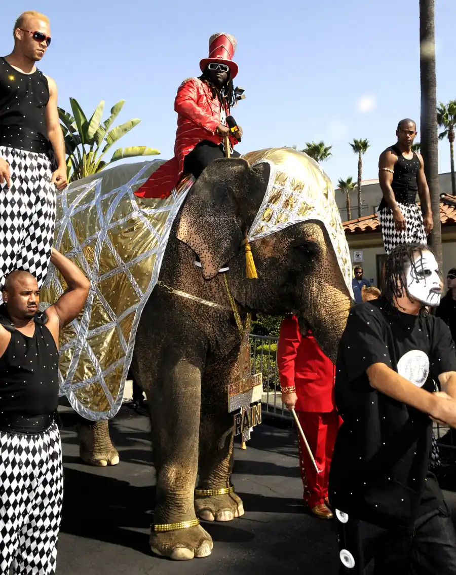 1346785291_t pain elephant zoom