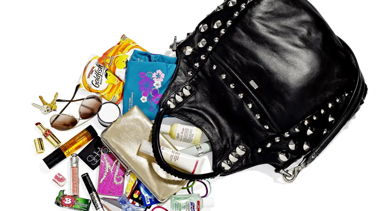 1346956429_melissa gorga bag zoom