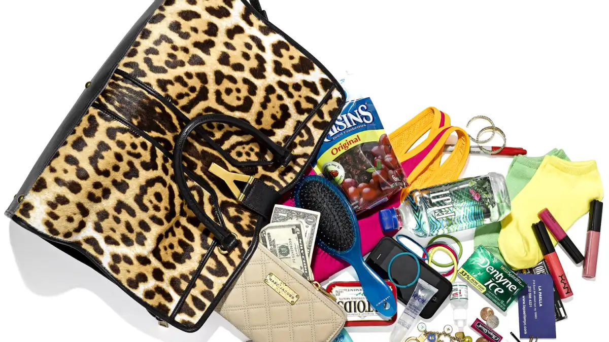 1348775475_cheryl burke bag zoom