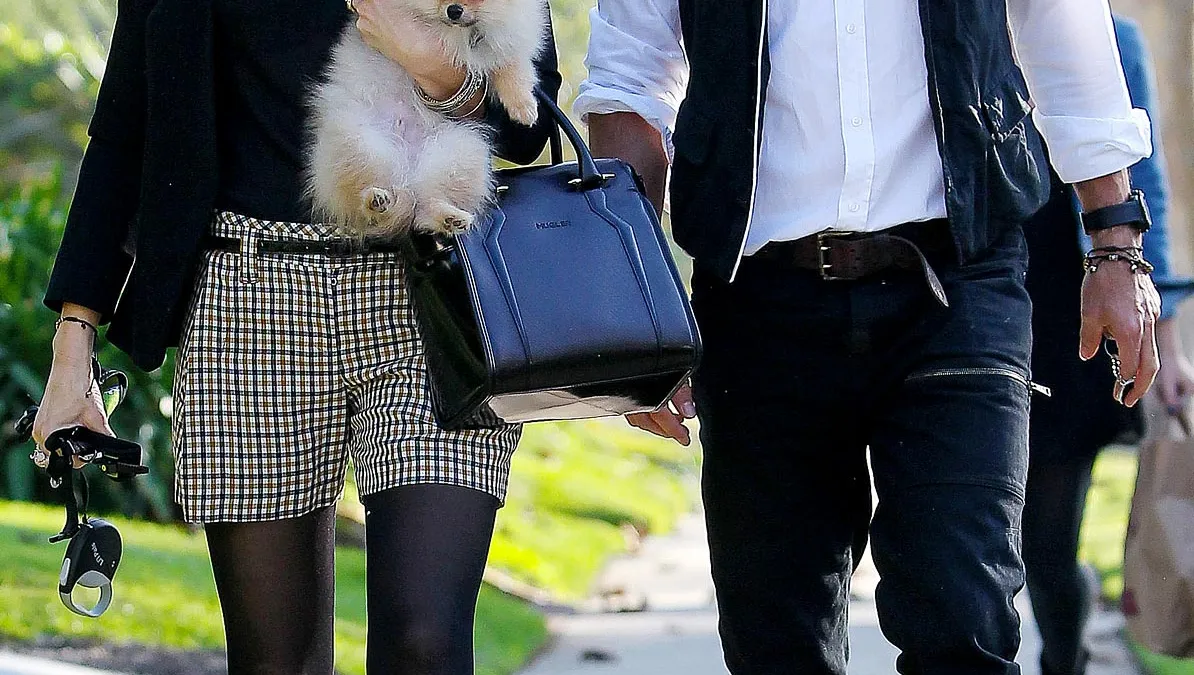 1353692640_gwen stefani gavin rossdale zoom