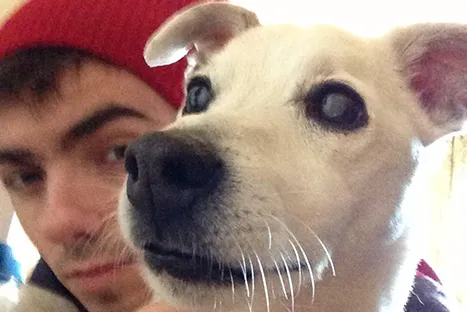 1358624993_nathan sykes dog_1