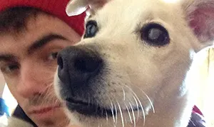 1358624993_nathan sykes dog_3