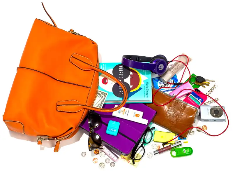 1362590317_christa miller bag zoom