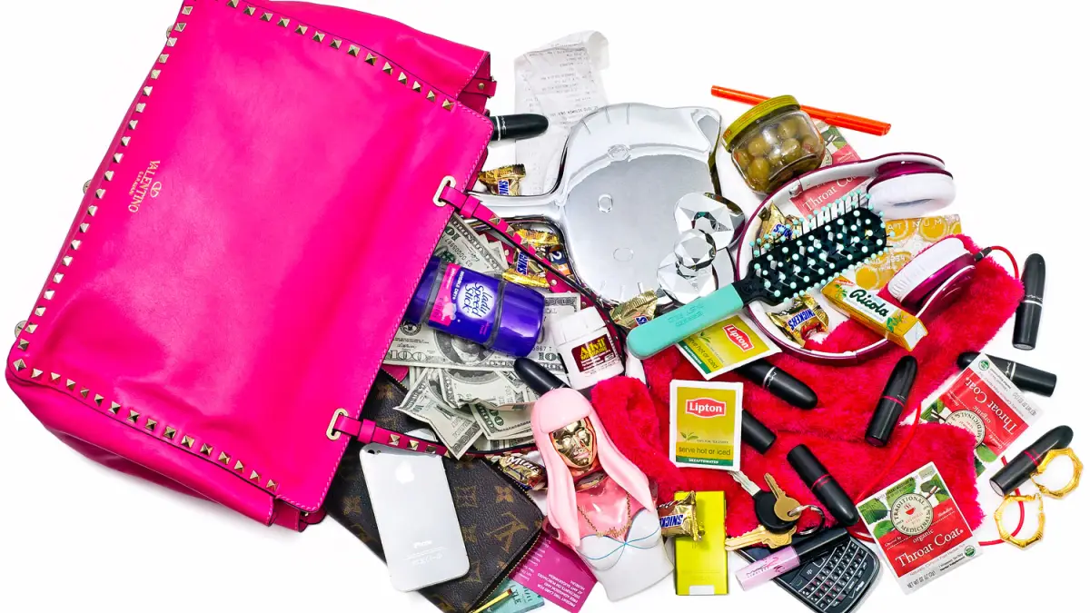 1363186402_nicki minaj bag zoom