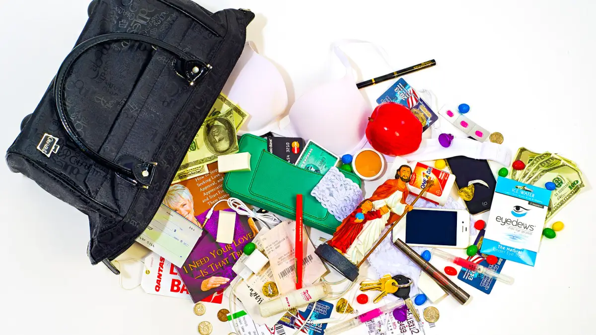 Jenny McCarthy's bag