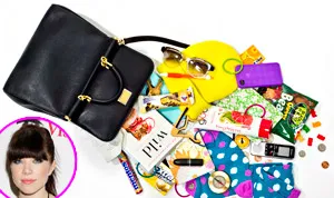 1366212242_carly rae jepsen bag 178