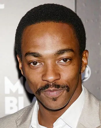 1384010046_anthony mackie dwi_3