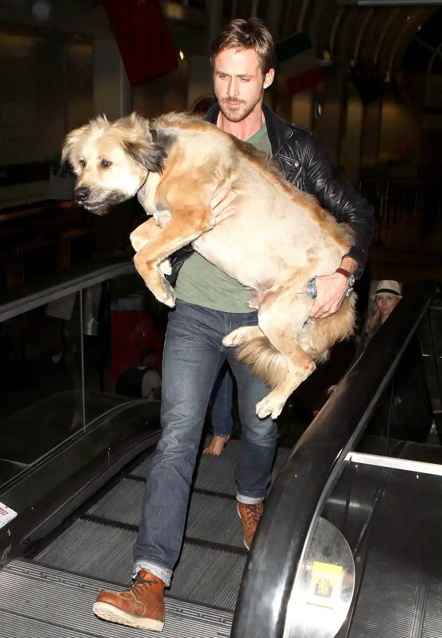 1384276356_ryan gosling zoom