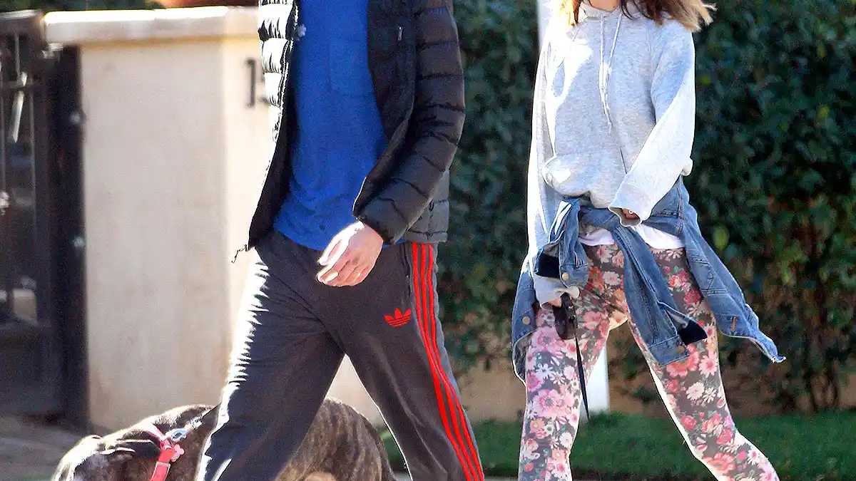 Adam Brody and Leighton Meester take their dogs for a walk in LA