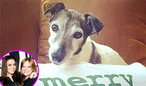 1388162280_caroline manzo lauren manzo 178