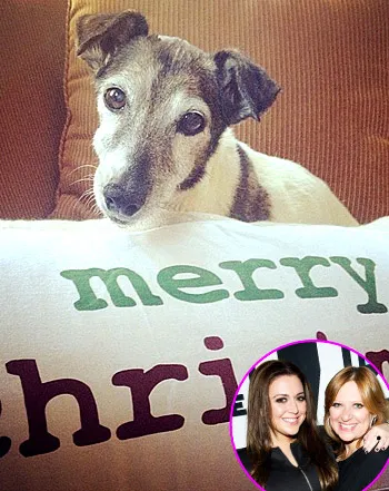 1388162280_caroline manzo lauren manzo 441