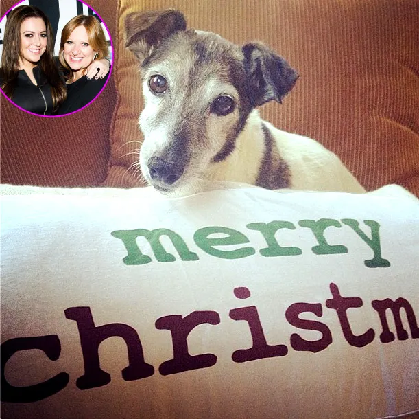 Caroline and Lauren Manzo's dog