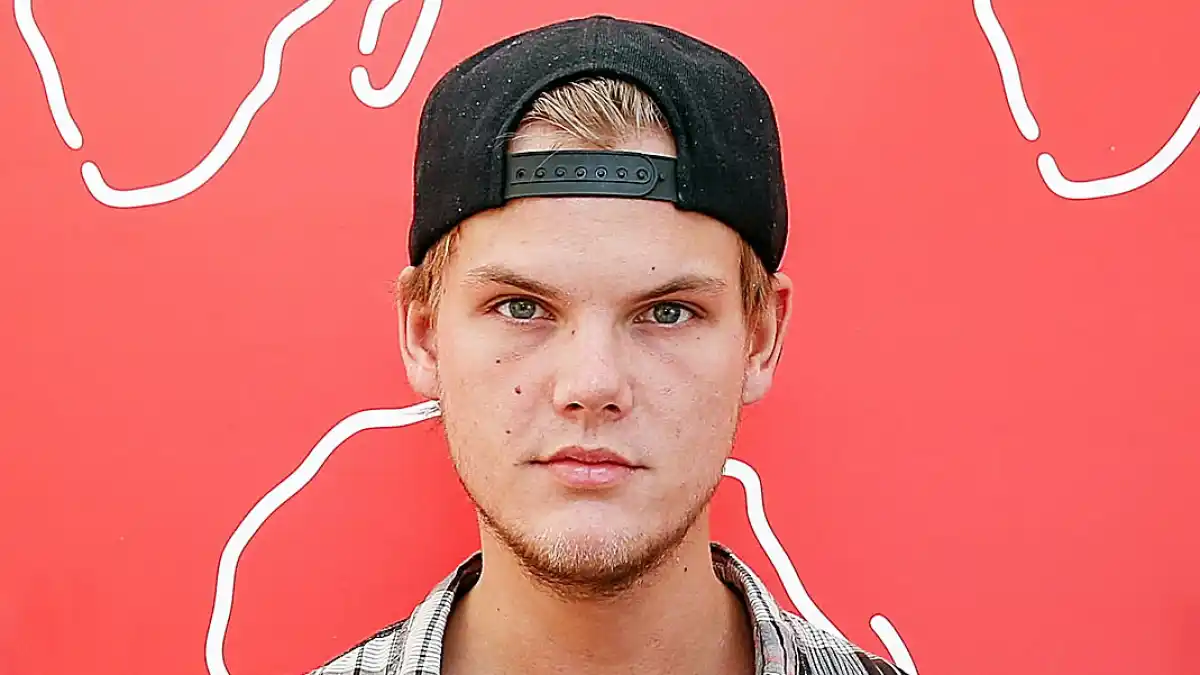 Avicii 25 Things