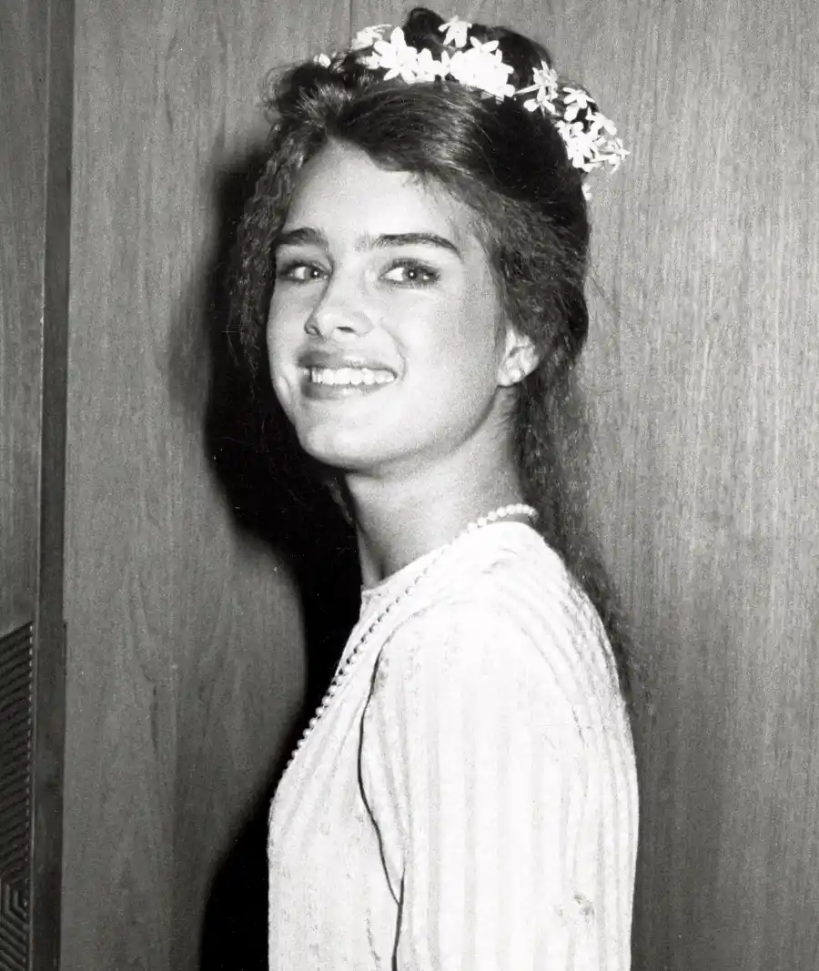 1393376743_79838725_brooke shields zoom