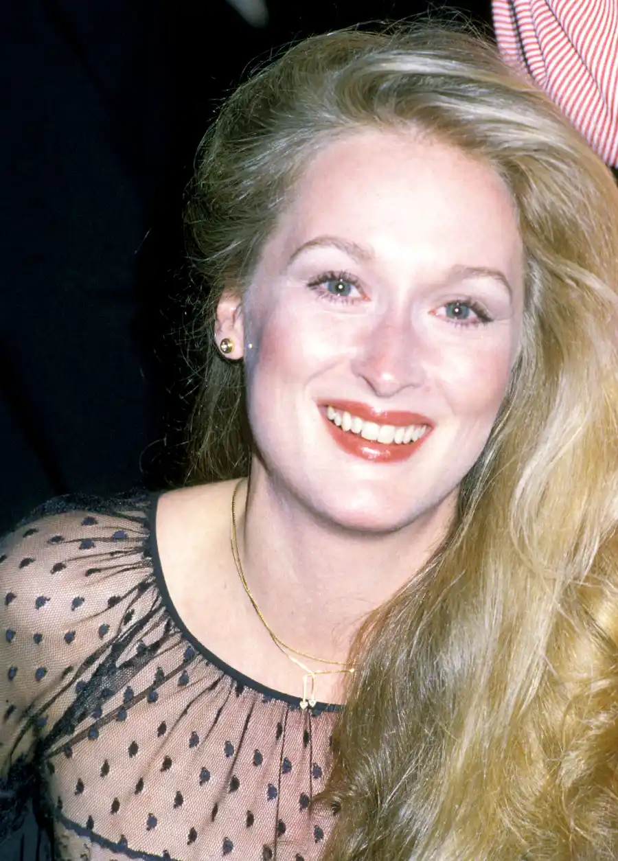 1393398296_81929171_meryl streep zoom