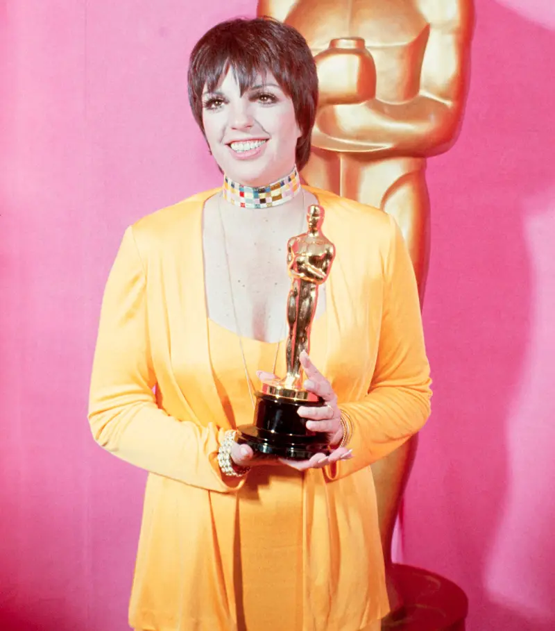 1393624586_be061565_liza minnelli zoom