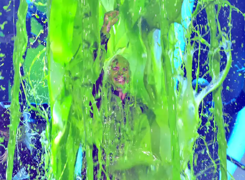 1396038006_pitbull zoom