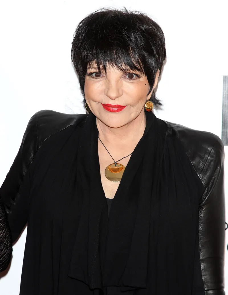 1399928263_liza minnelli zoom