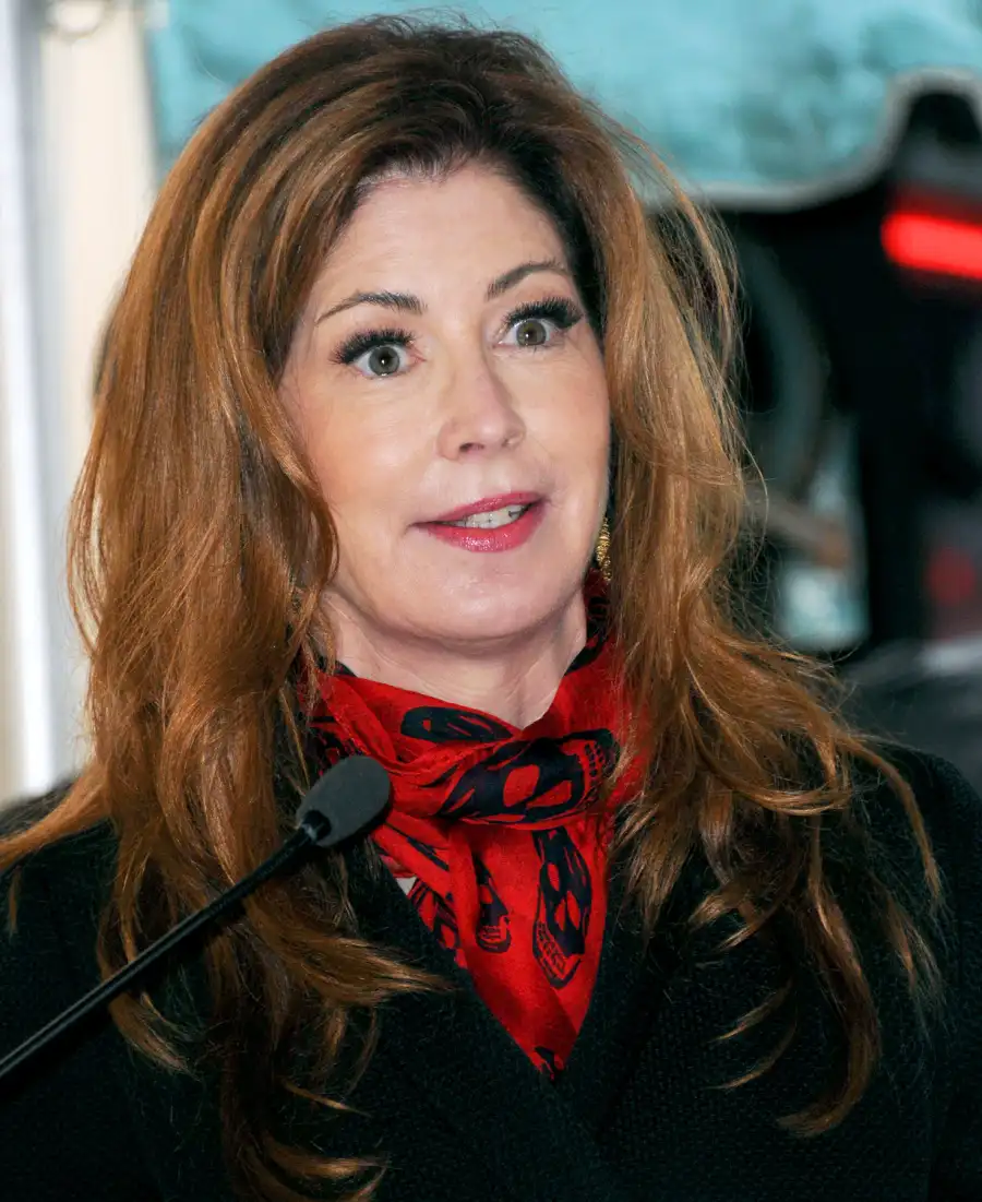 1400068547_137676393_dana delaney zoom