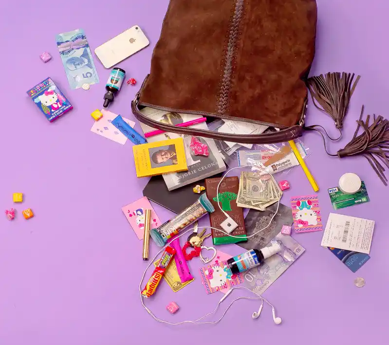 What's In Sarah McLachlan's Bag.